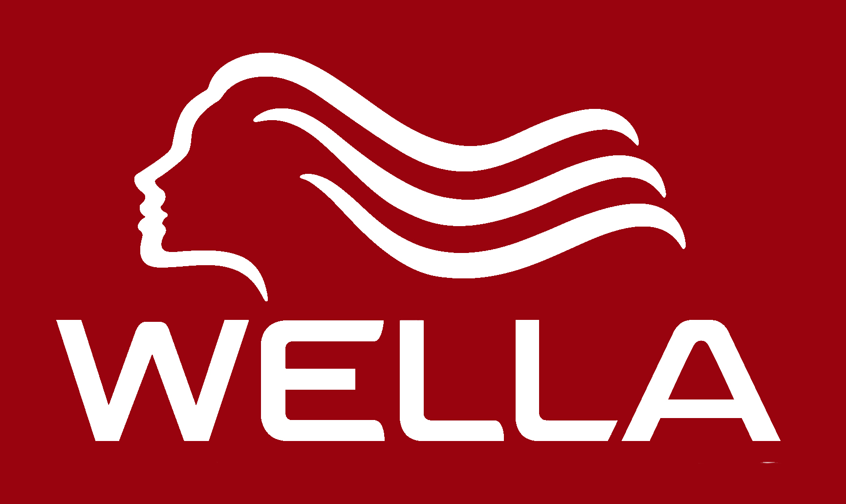 Wella Logo